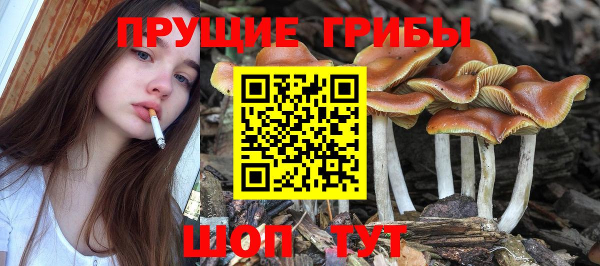 Псилоцибиновые грибы MAGIC MUSHROOMS Ипатово