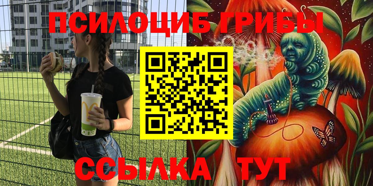 Галлюциногенные грибы GOLDEN TEACHER  купить   Ипатово  Вход с VPN 